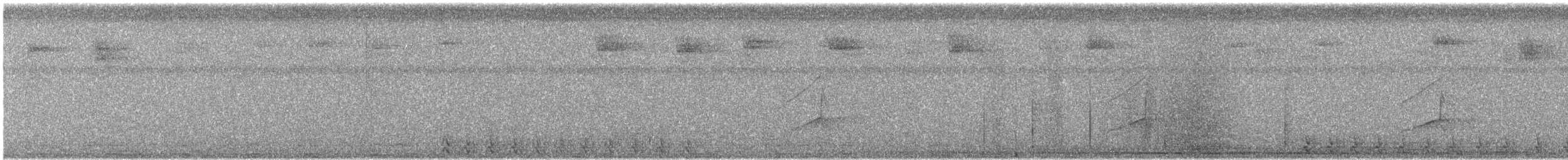 Trogon à queue noire - ML71230521