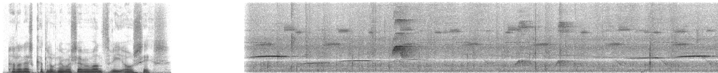 Western Hooded Pitta (Sunda) - ML71306