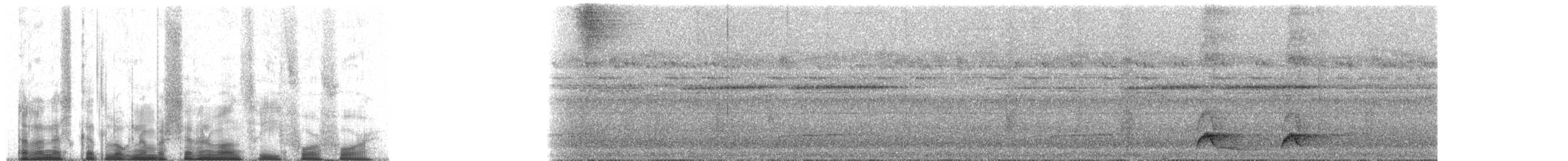 Western Hooded Pitta (Sunda) - ML71344