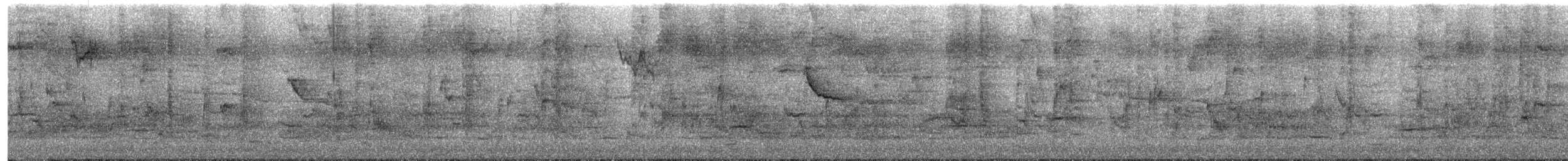Al Kanatlı Karatavuk (californicus/mailliardorum) - ML71361621