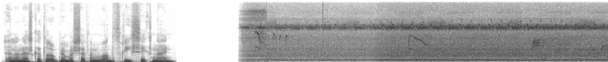 Kurzschwanzspecht - ML71369