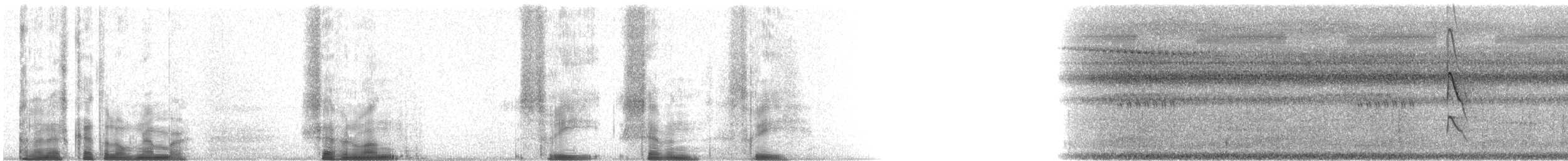 Fauconnet moineau - ML71373