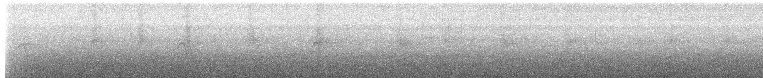 Светлогорлый тенелюб - ML71391901