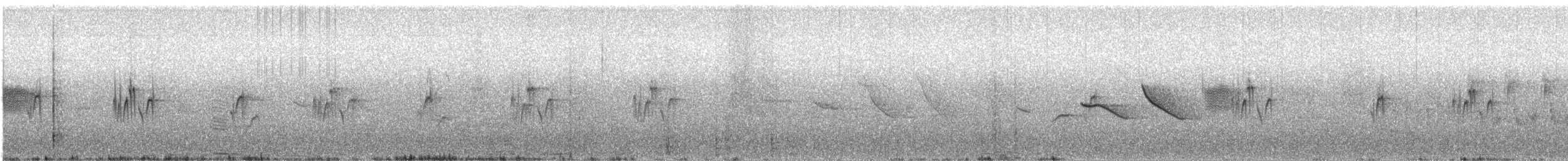 Вівсянчик чилійський (підвид minor) - ML71558471