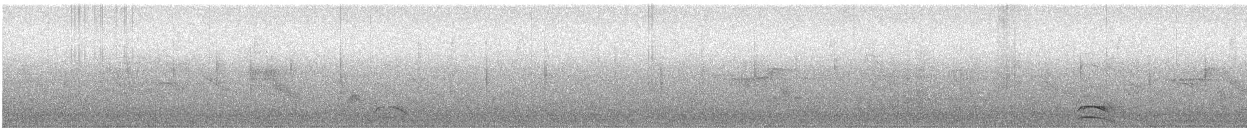 Phrygile à tête grise (minor) - ML71558481