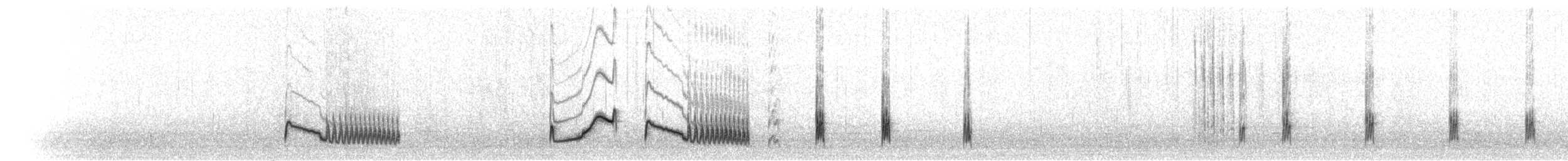 Schneeregenpfeifer - ML71563501