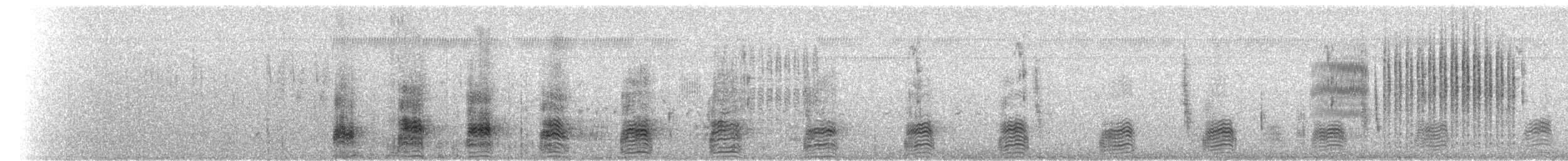 Stockente - ML71576381