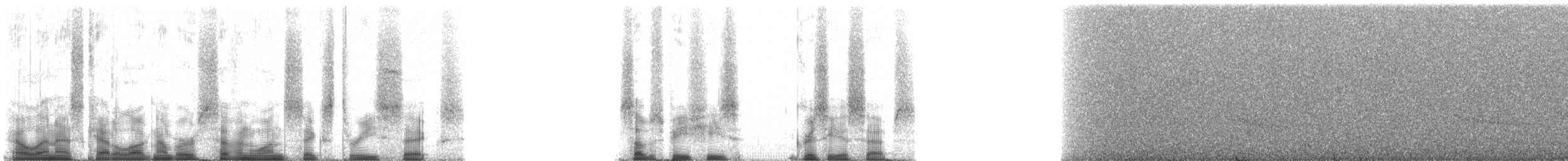 brunplystrer (griseiceps gr.) (blekbrynplystrer) - ML71636