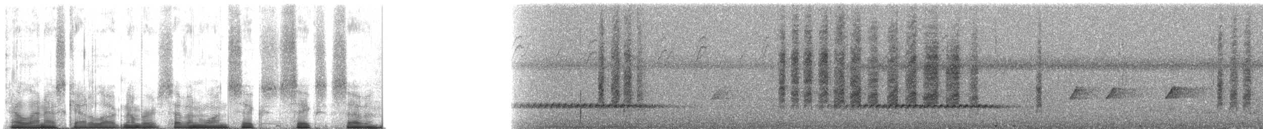 Rotstirnsericornis - ML71667