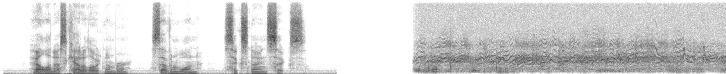 Laysan Finch - ML71696