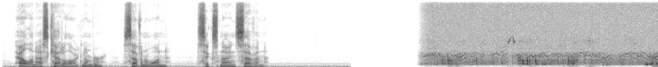 Лайсанская вьюрковая цветочница - ML71697