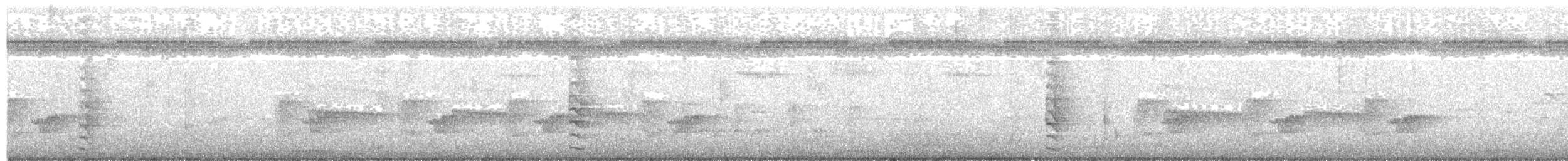 White-browed Crake - ML71706671