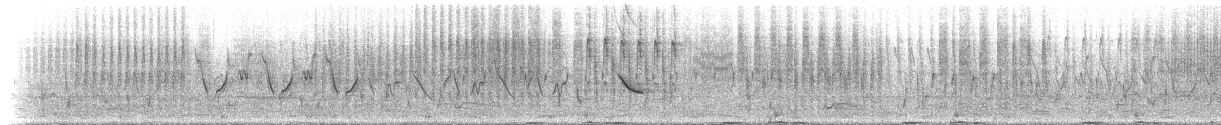Пелікан рогодзьобий - ML71708891