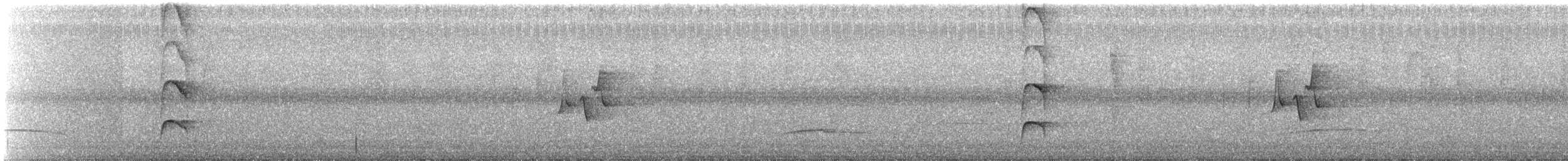 Nutting's/Salvadoran Flycatcher - ML71717301