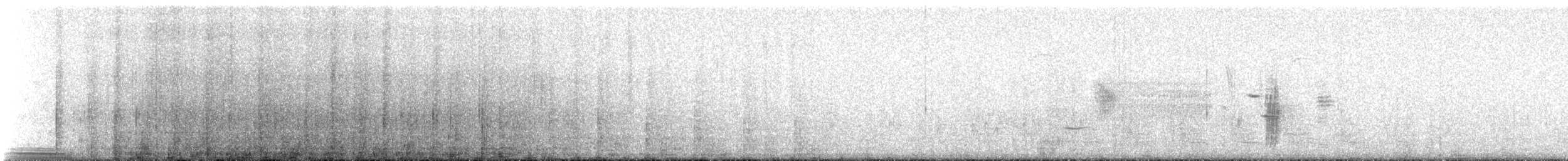 Пелікан рогодзьобий - ML71728201