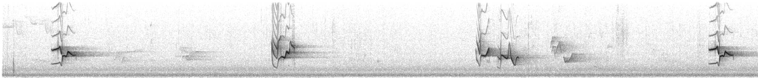 Blue-headed Vireo - ML71770461