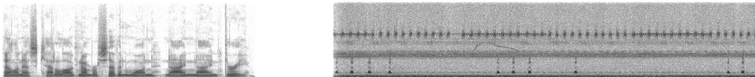 Lesser Nighthawk - ML71993
