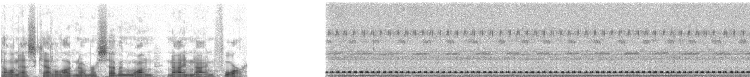 Lesser Nighthawk - ML71994