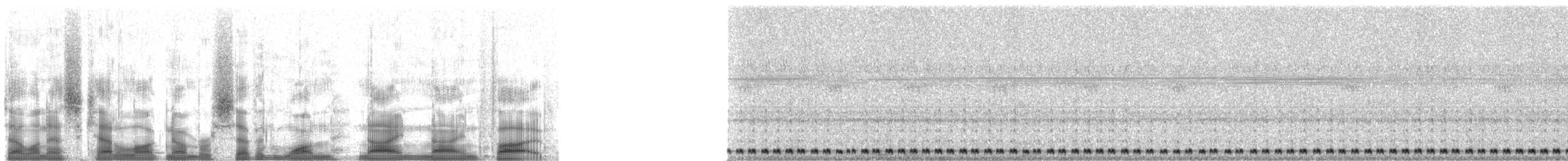 Lesser Nighthawk - ML71995