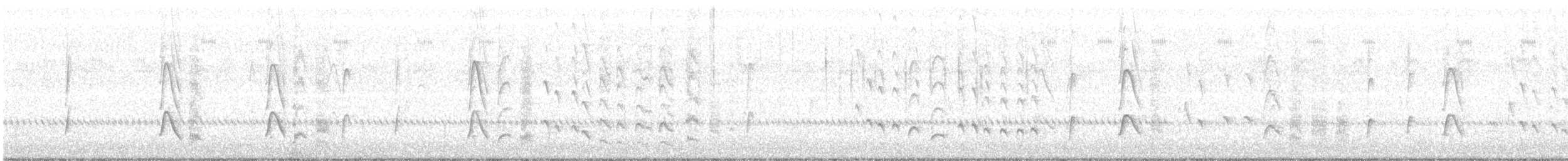 brunhettespettmeis - ML72114201