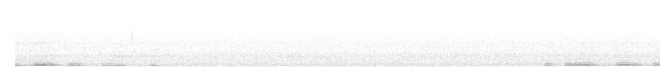 Northern Saw-whet Owl - ML72156781