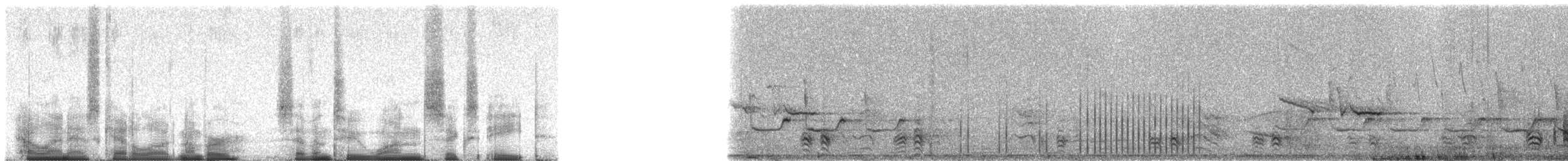 Purple Roller - ML72168