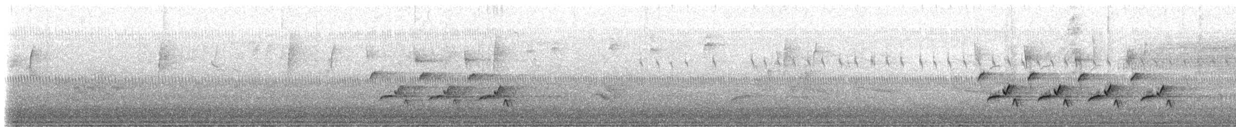 Поплітник каролінський - ML72182531