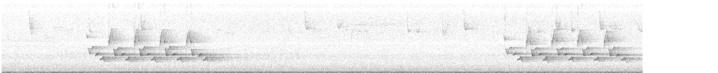 Поплітник каролінський - ML72194361