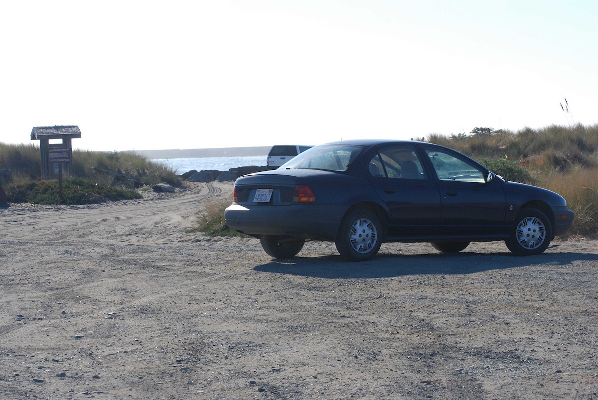 skřivan ouškatý - ML72255861