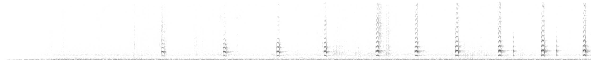 Junin Tapaculo - ML72266451