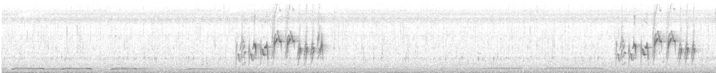 Weißbrauenstelze - ML72266821