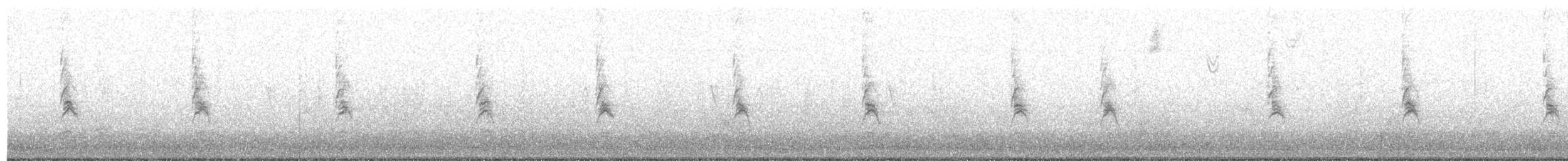 Song Sparrow - ML72284421