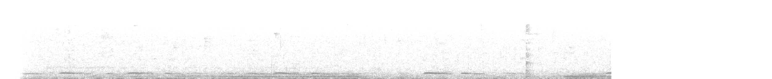 holoubek mexický - ML72311761