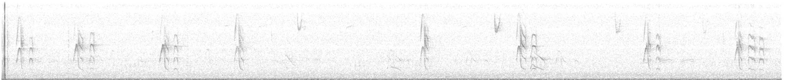 brunhettespettmeis - ML72311861