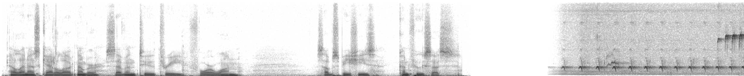 Picumne frangé (macconnelli/confusus) - ML72341