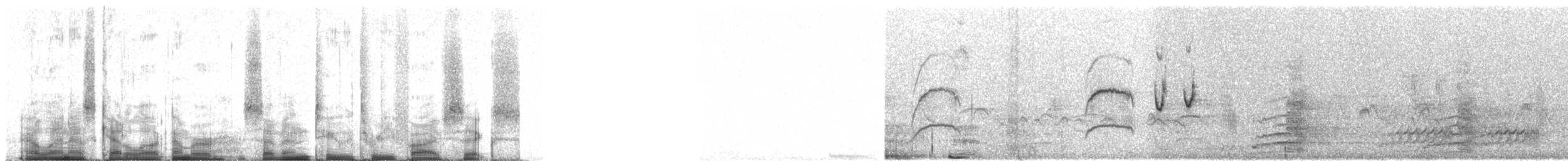 Tropical Gnatcatcher (plumbea) - ML72356