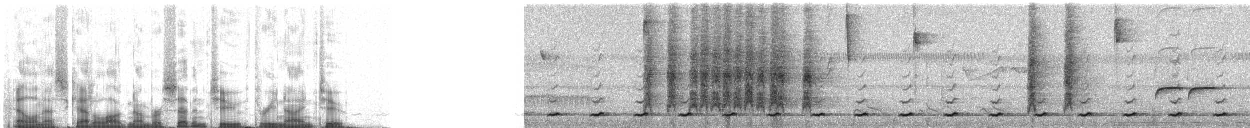 Eufonia de Finsch - ML72392