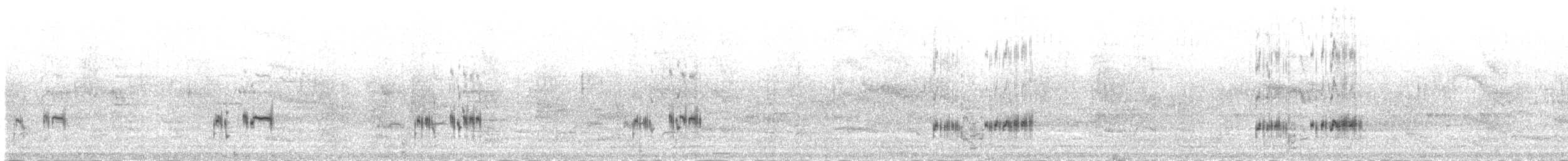 Western Grebe - ML72393881