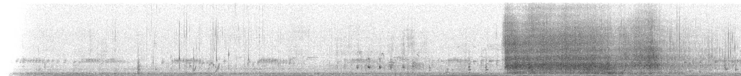 Пелікан рогодзьобий - ML72394211