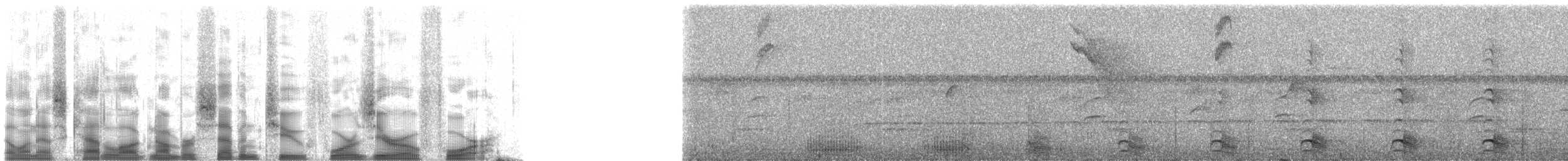 arassari rudokostřečný - ML72404