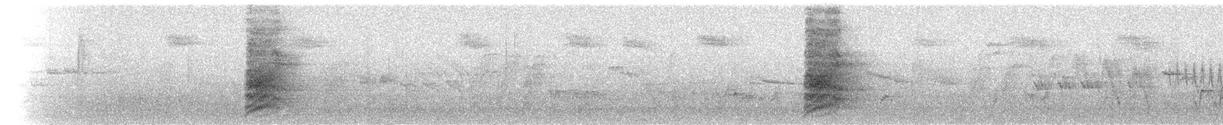 California Scrub-Jay - ML72412331