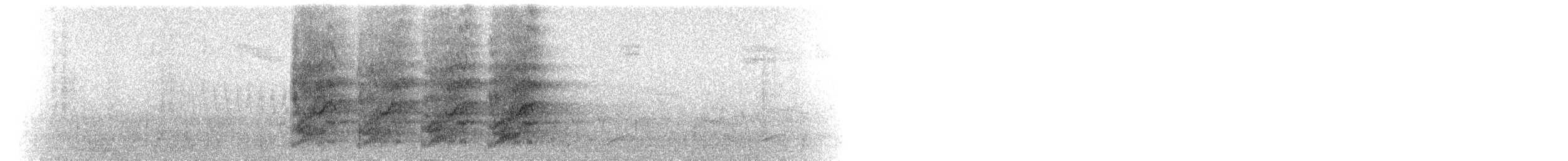 California Scrub-Jay - ML72412391