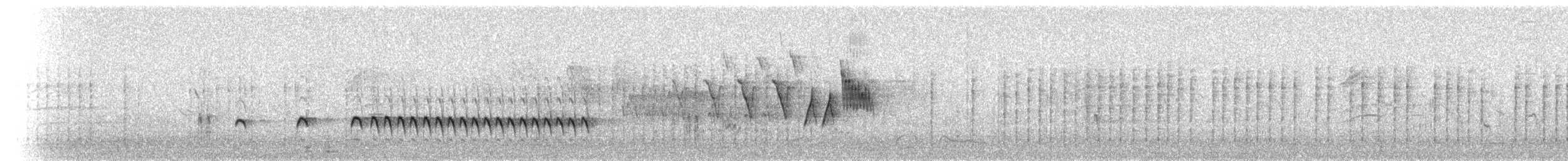 Wrentit - ML72412551