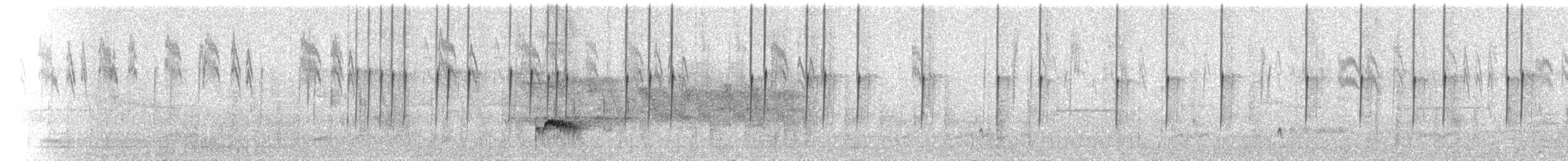 Costa's Hummingbird - ML72412611