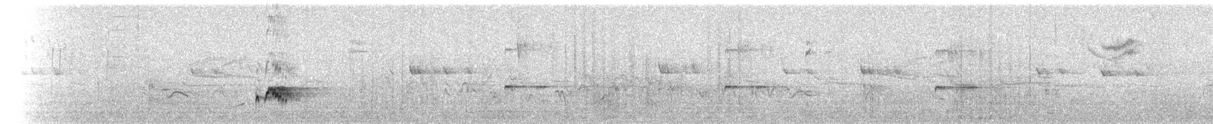 Ash-throated Flycatcher - ML72421831