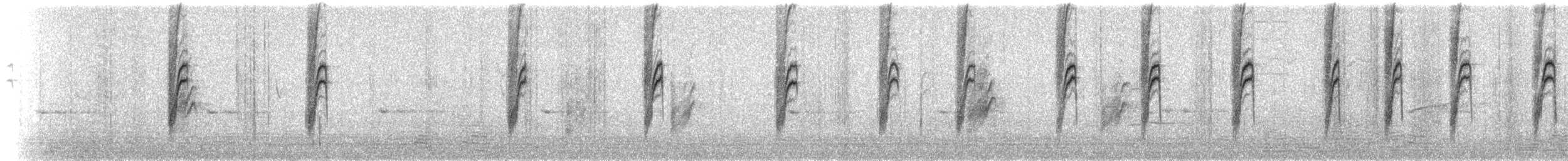 Bewick's Wren - ML72422051