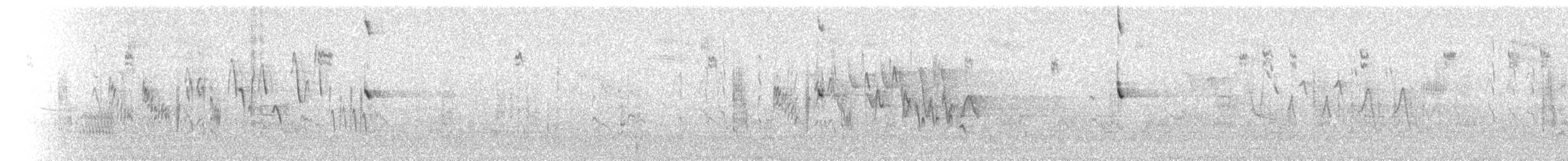 California Towhee - ML72422191