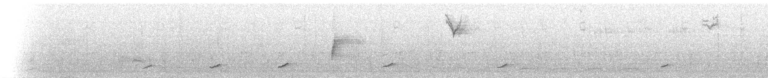 Phainopepla - ML72442131