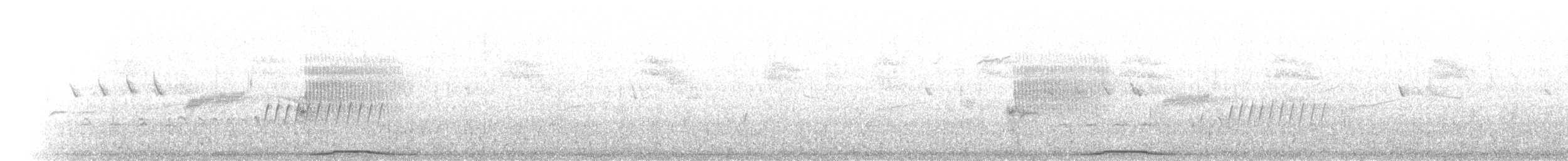 Mourning Dove - ML72442191