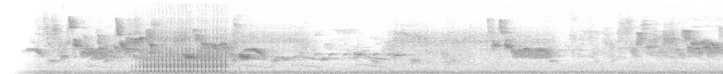 Nuttall's Woodpecker - ML72442211